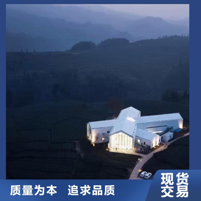 农村一层自建房简单实用外墙装饰板大全本地货源