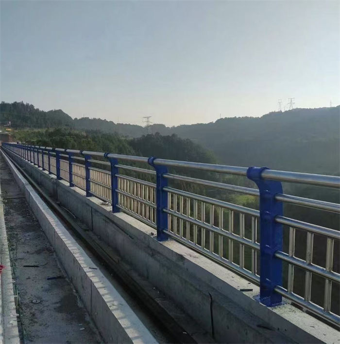 支持定制的不锈钢河道护栏厂家