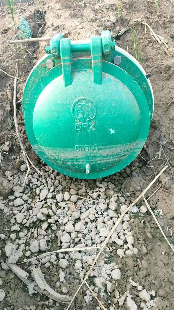 拍门-防倒灌拍门欢迎来厂考察