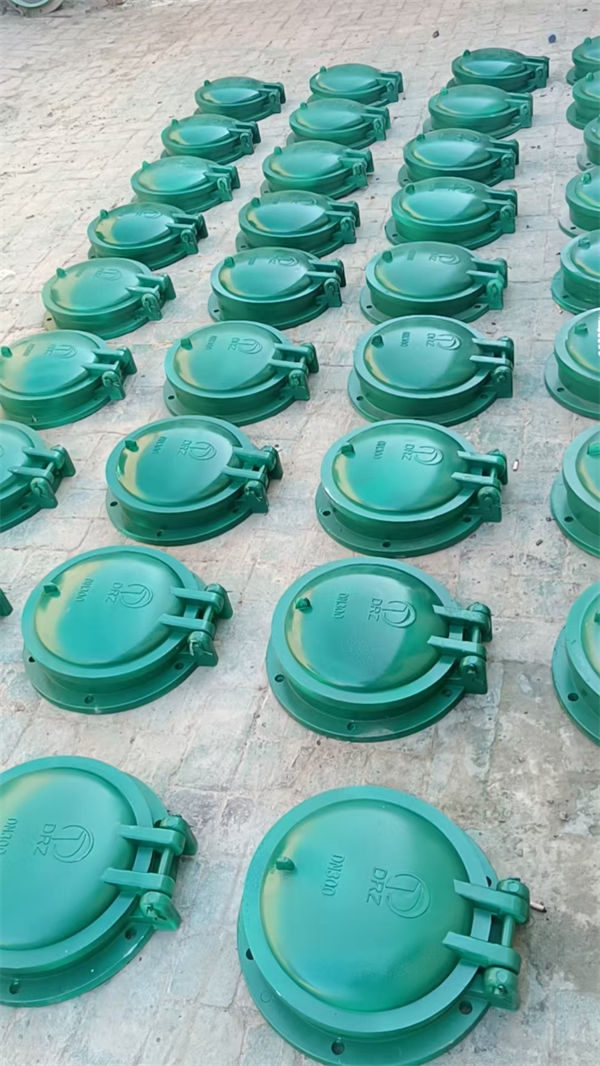 拍门_不锈钢拍门认准大品牌厂家
