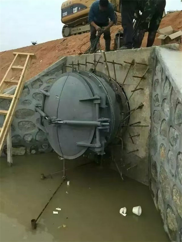 拍门钢制拍门制造厂家
