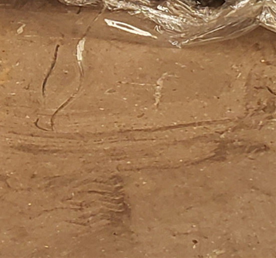 护栏就近发货