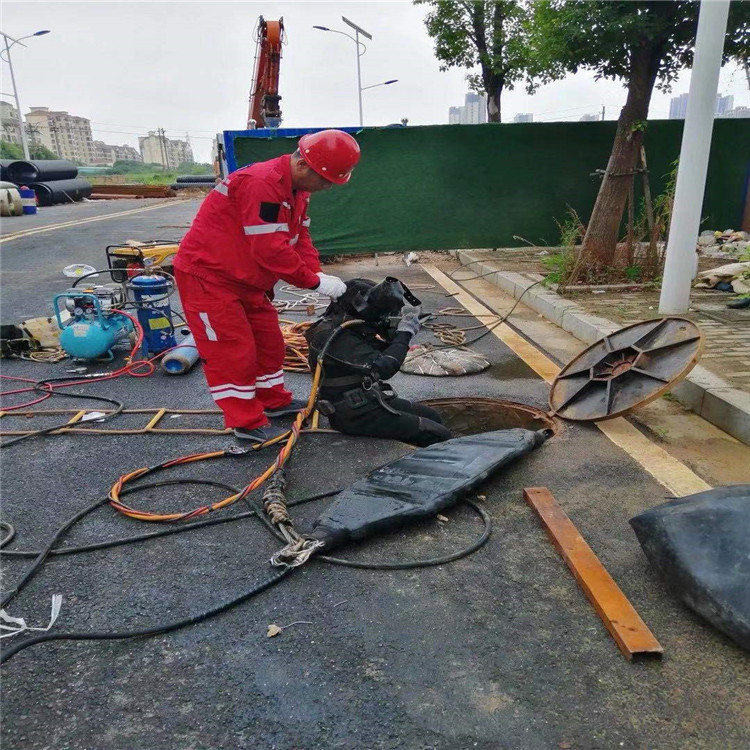 扬州市蛙人打捞队-本地各种水下打捞提供作业