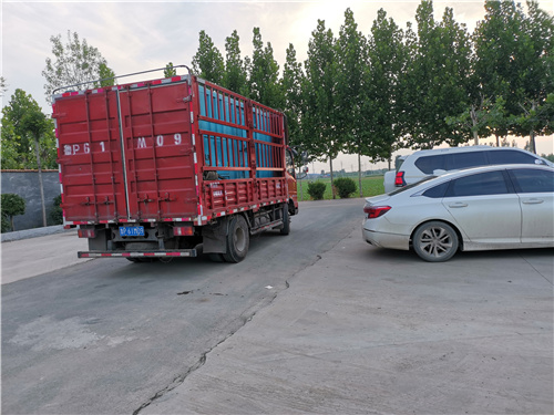 进口发电机变压器租赁口碑怎么样