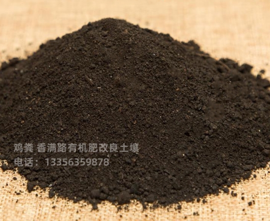 鸡粪生姜施肥