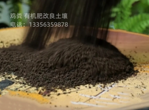 稻壳鸡粪免费咨询