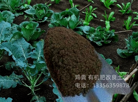 鸡粪有机肥土壤肥力