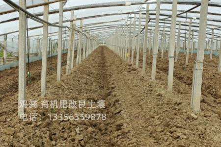 鸡粪温室大棚用