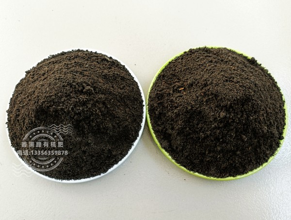 羊粪有机肥大姜施肥
