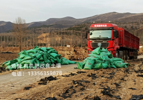 干鸡粪用过吗