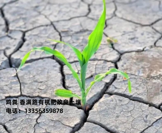 汕头市光华街道干鸡粪哪家好