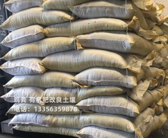 发酵鸡粪让土地高产