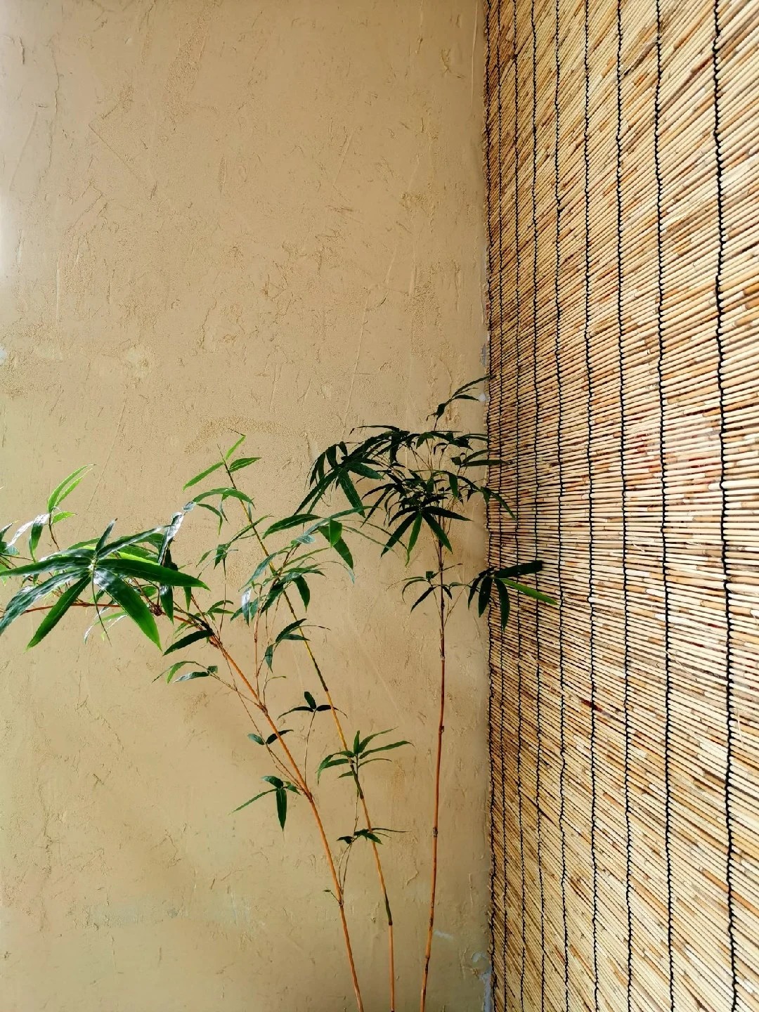 乡村改造，稻草漆厂家，环保涂料，稻秸秆漆定制厂家