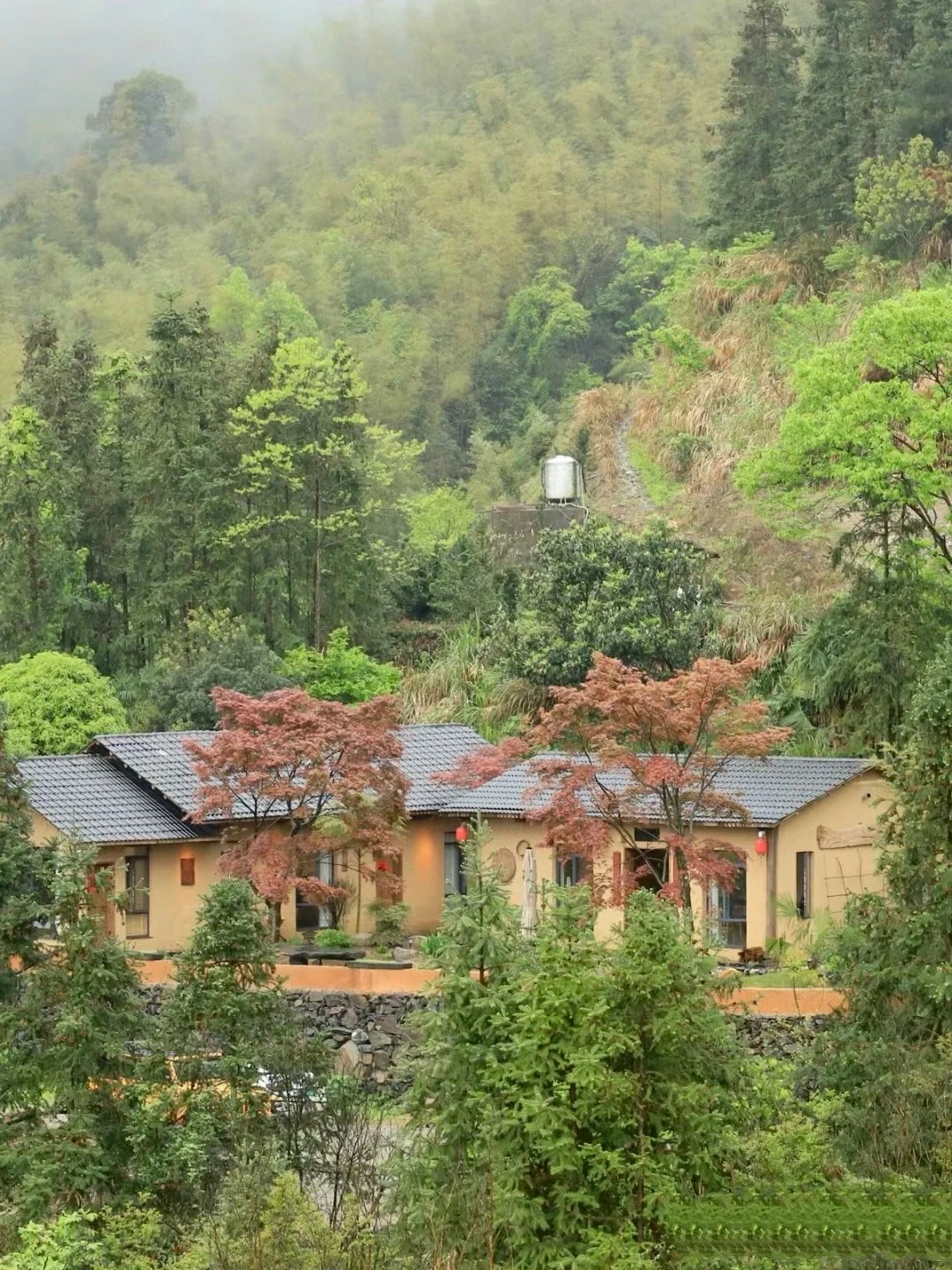 稻草漆源头厂家，批发价，可施工