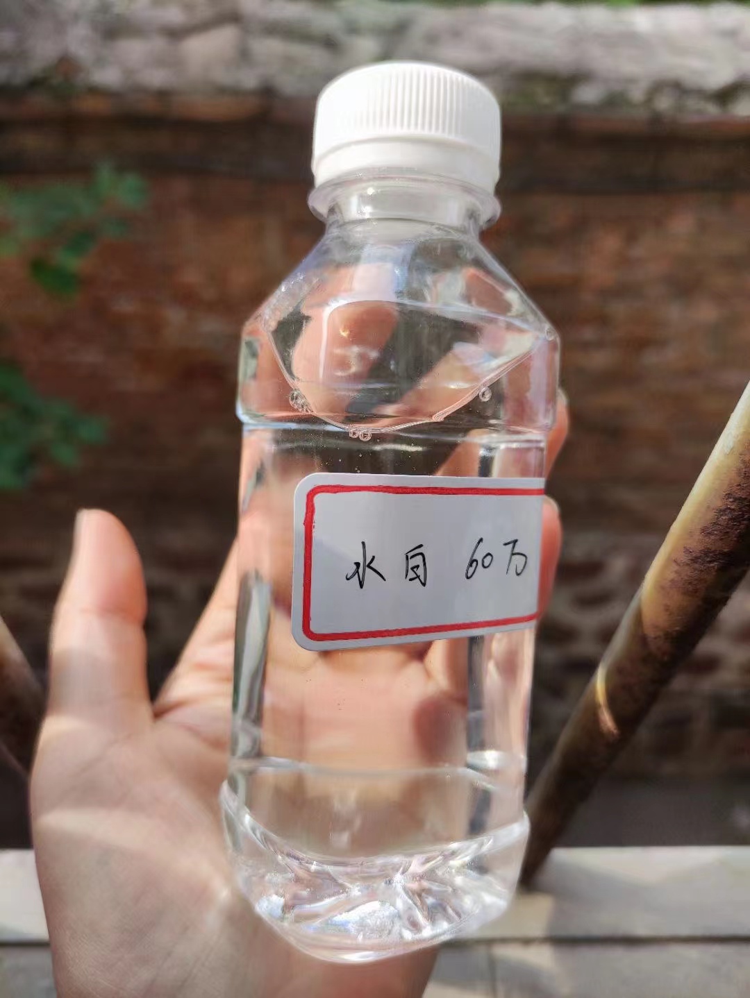 碳源敢与同行比服务