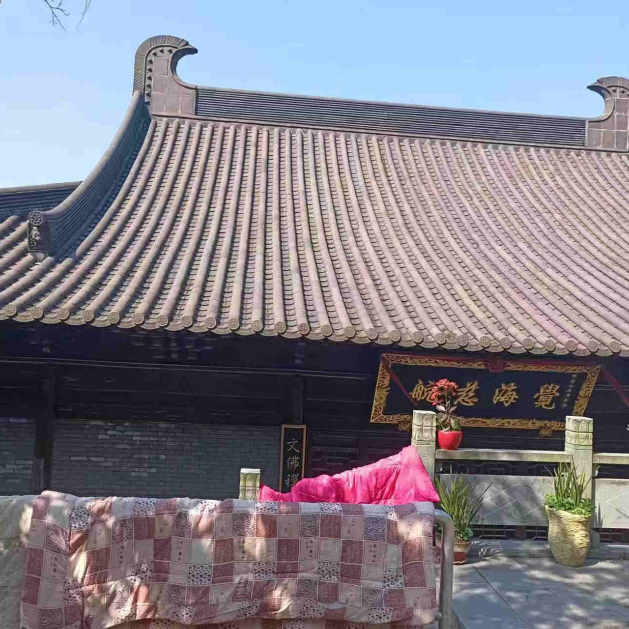  - 实力厂家