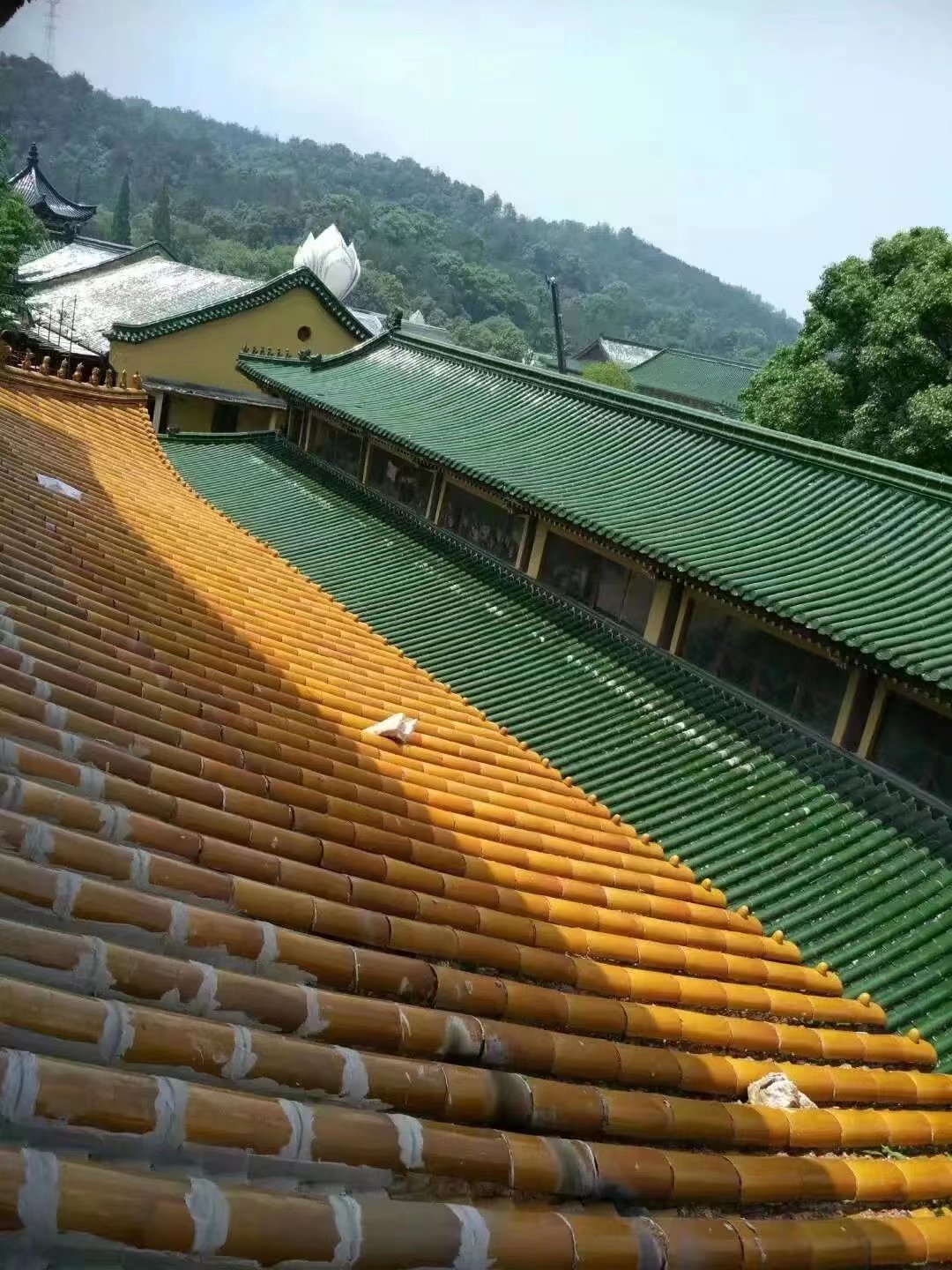 【金属屋面防水】污泥改性固化剂实时报价