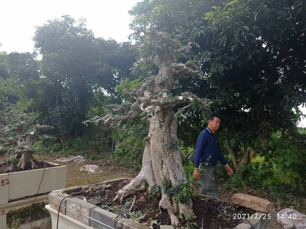 土壤固化剂粉煤灰固化剂本地配送