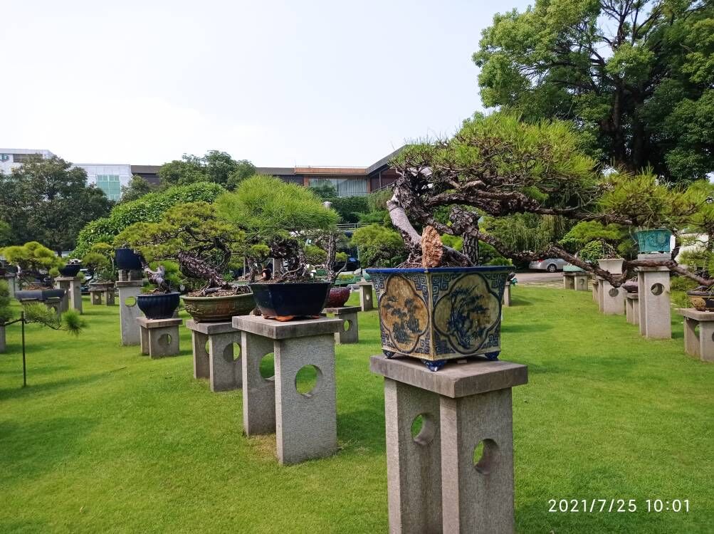 氟硅水泥防静电自流平淤泥固化剂本地厂家