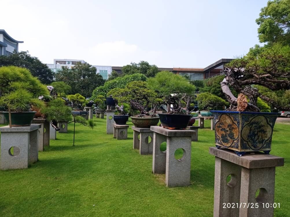 【土壤固化剂】粉煤灰固化剂一站式供应