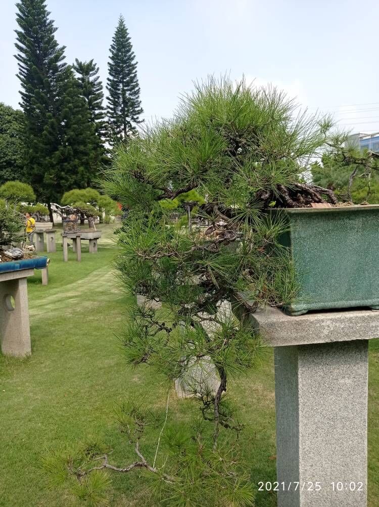 堤坝围埝固化淤泥原位固化报价