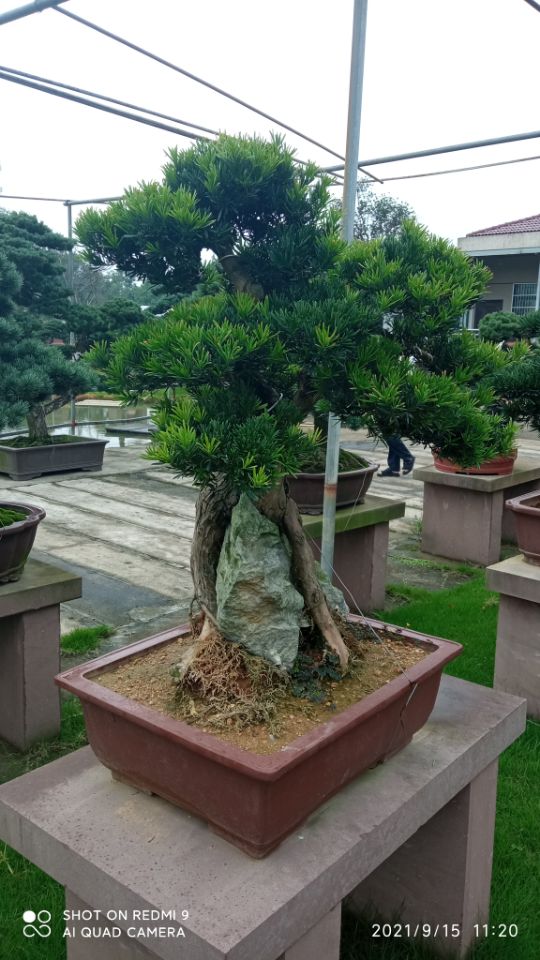 土壤固化剂,沙漠沙土固化剂厂家规格全