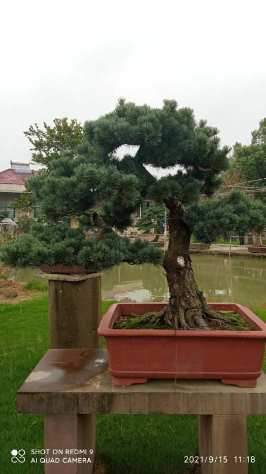 土壤固化剂淤泥改性固化剂专注生产制造多年