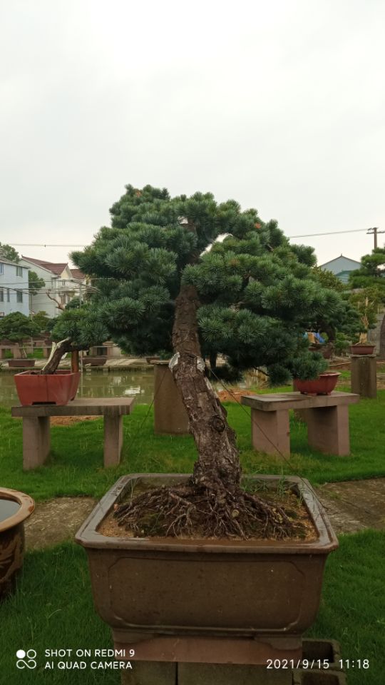 土壤固化剂,沙漠沙土固化剂厂家规格全