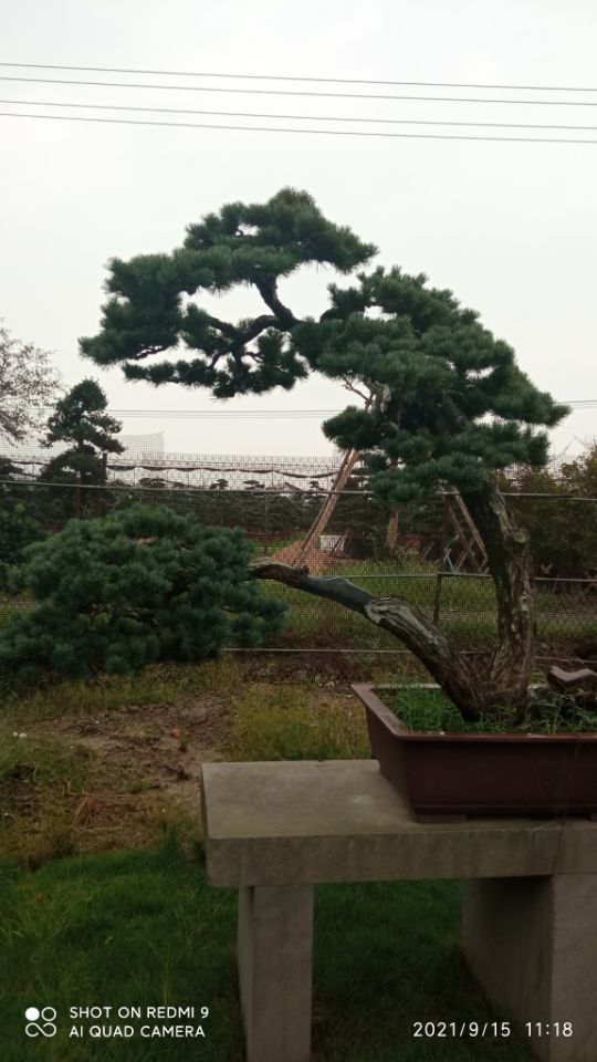 土壤固化剂免费安装