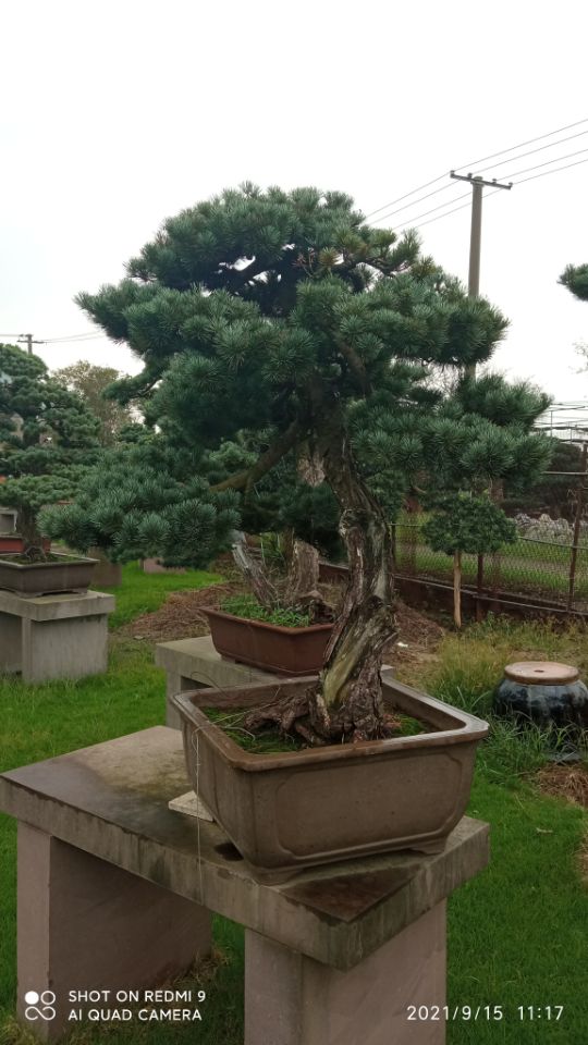 土壤固化剂定制批发