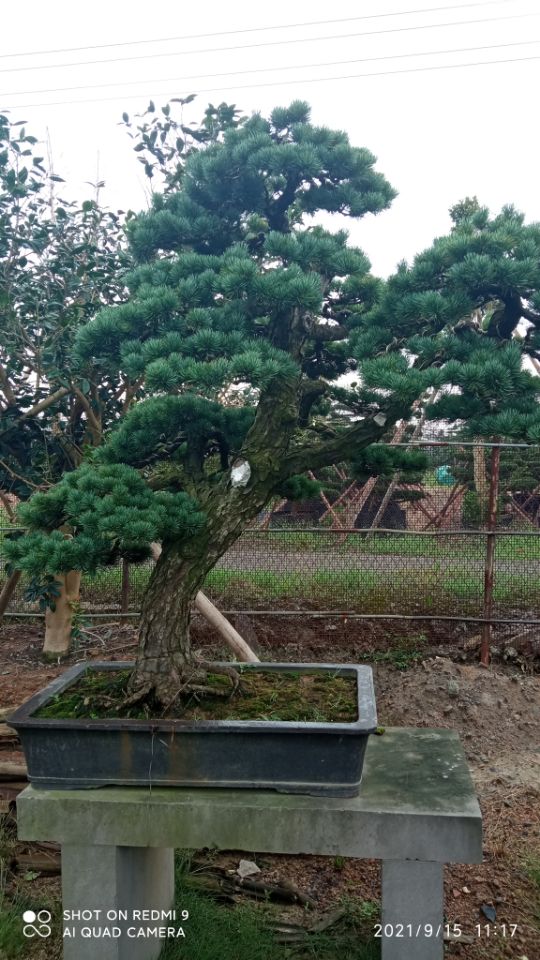 道桥防水防腐涂料文昌市建筑修缮防水防腐翻新报价
