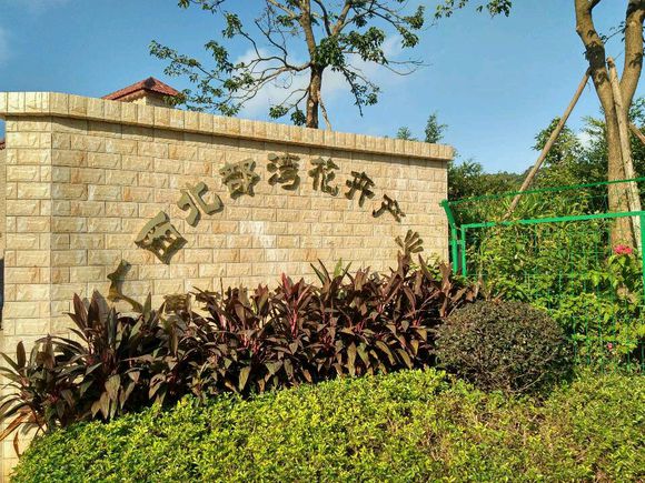 【土壤固化剂】粉煤灰固化剂一站式供应