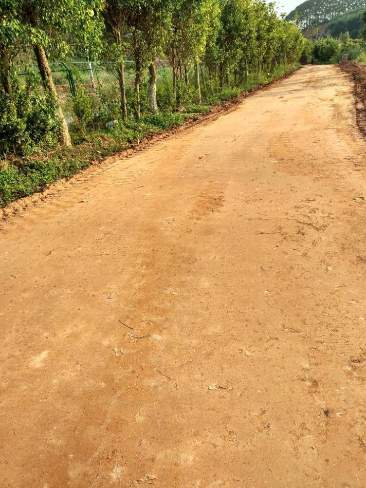 土壤固化剂,沙漠沙土固化剂厂家规格全
