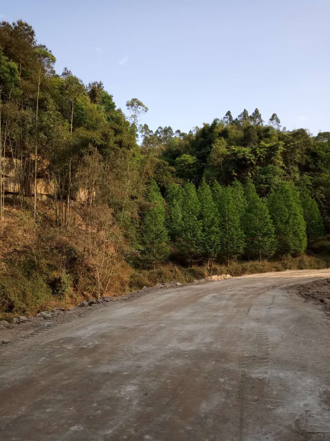 土壤固化剂夯土墙固化剂现货直供